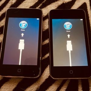 lot of two 1st generation ipods